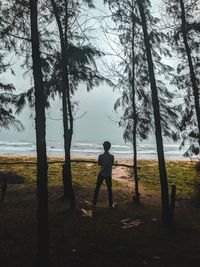 Rear view of man standing on land against trees