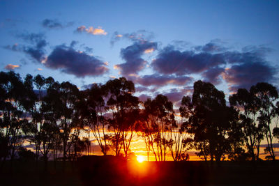 Silhouette trees against sky during sunset