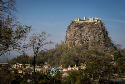 View of trees on mountain