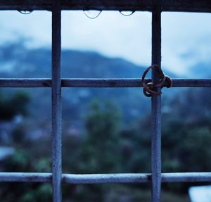 Close-up of metal fence