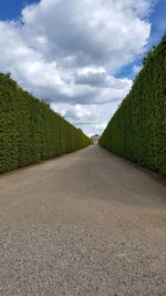 Road amidst trees against sky