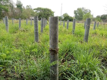 Wooden posts on field against sky