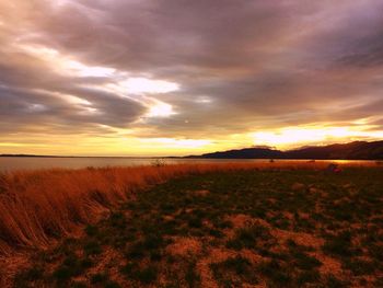 Scenic view of field against sky during sunset