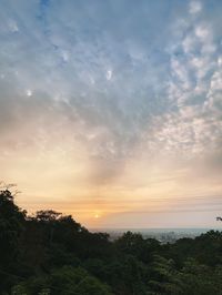 Scenic view of silhouette trees against sky during sunset