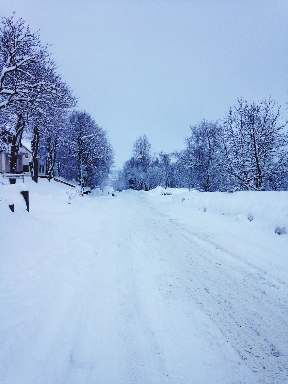 snow, winter, cold temperature, season, tree, clear sky, weather, landscape, covering, tranquil scene, tranquility, nature, white color, field, copy space, beauty in nature, bare tree, scenics, snow covered, covered