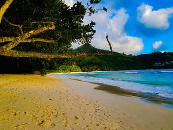 Scenic view of beach against sky