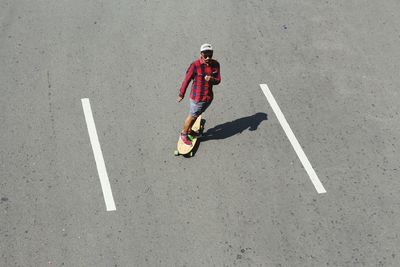 High angle view of dog on road