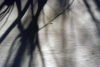 Close-up of shadow on curtain