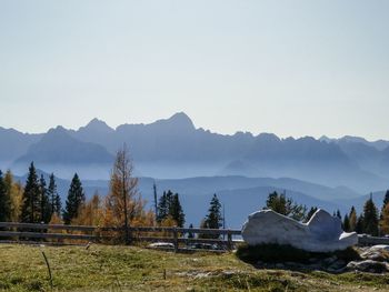 Scenic view of field against clear sky