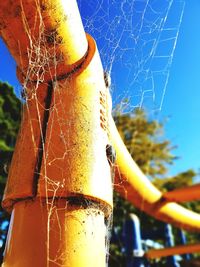 Close-up of spider web against blue sky