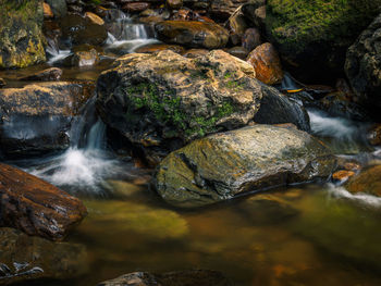 Scenic view of waterfall in forest