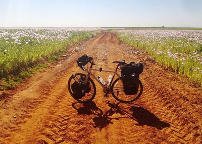 Road passing through landscape