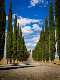 Panoramic view of empty road amidst trees against sky