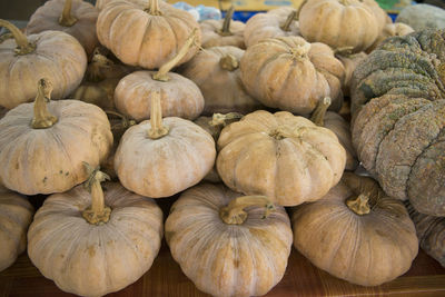 High angle view of squashes on table for sale at market