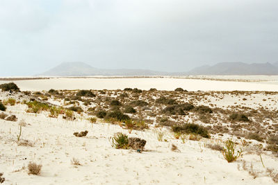 Scenic view of desert against sky