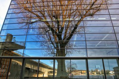 Low angle view of modern building