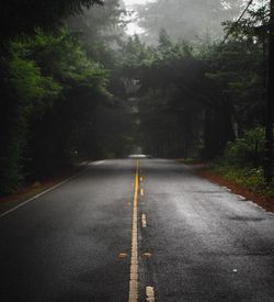 Road amidst trees