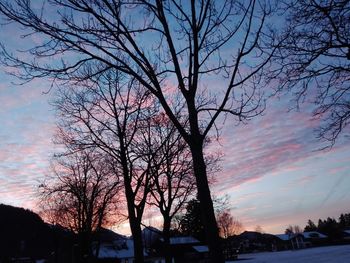 Silhouette bare tree against sky at sunset