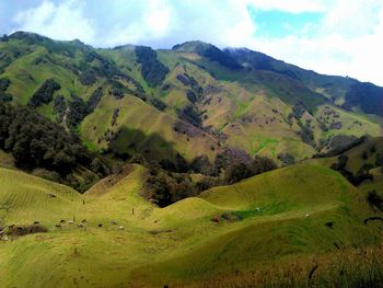 Scenic view of tree mountains against sky