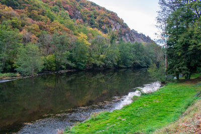 Scenic view of lake amidst trees in forest