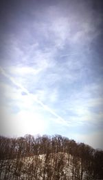 Low angle view of trees against cloudy sky