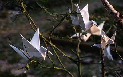 Close-up of paper birds at cemetery 