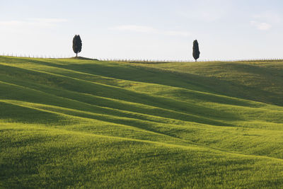 Scenic view of golf course against sky