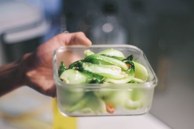 Cropped hand of person holding food