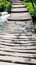 Surface level of wooden boardwalk against plants