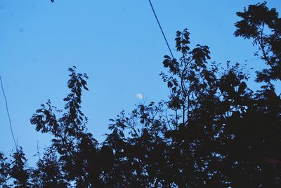 Low angle view of silhouette trees against clear blue sky