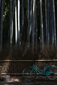 Bicycle in forest