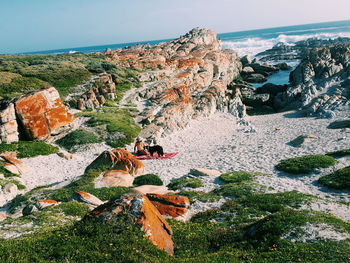 Panoramic view of rocks and plants against sky