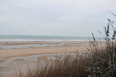 Scenic view of beach against sky