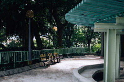 Trees in park