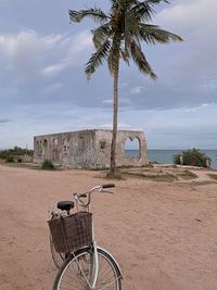 Bicycle by palm tree on beach against sky