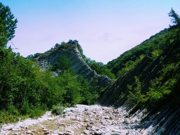 Scenic view of waterfall amidst trees against sky