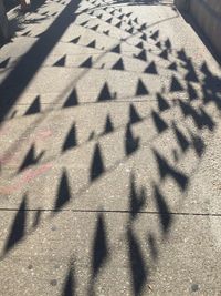 High angle view of shadow on ground