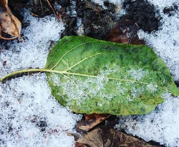 High angle view of frozen water