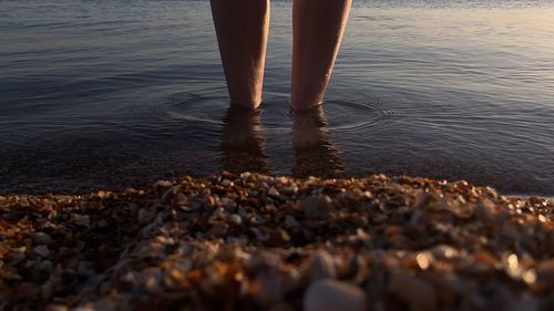 Low section of person standing on beach