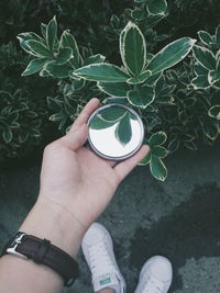 High angle view of hand holding drink