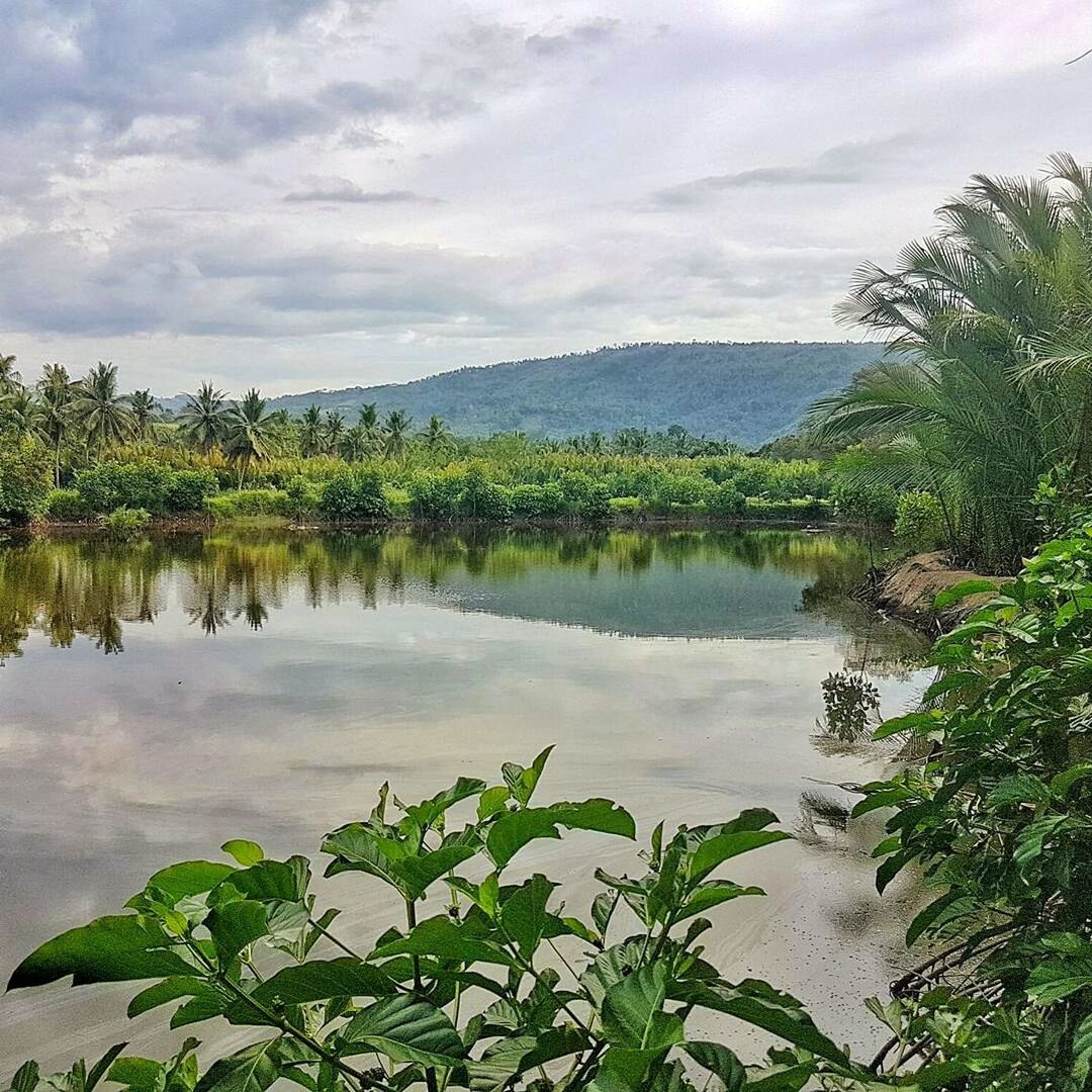 SCENIC VIEW OF LAKE WITH TREES IN BACKGROUND