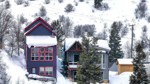 Snow covered houses and trees against sky