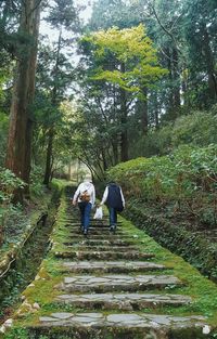 Rear view of people walking in forest