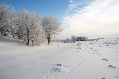 Frosty day on the top of the mountain