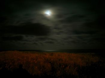 Scenic view of field against sky at night