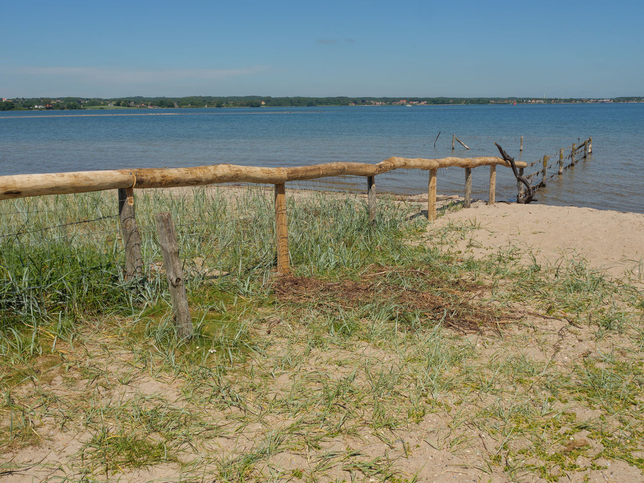 PLANTS GROWING ON BEACH AGAINST SKY