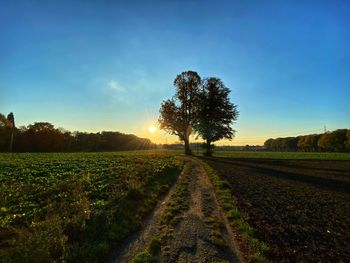 Scenic view of field against sky during sunset