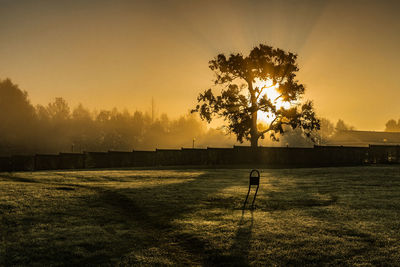 Silhouette tree on field against sky during sunset