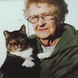 Portrait of cat
