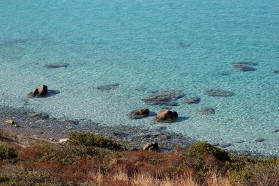 High angle view of rocks in sea